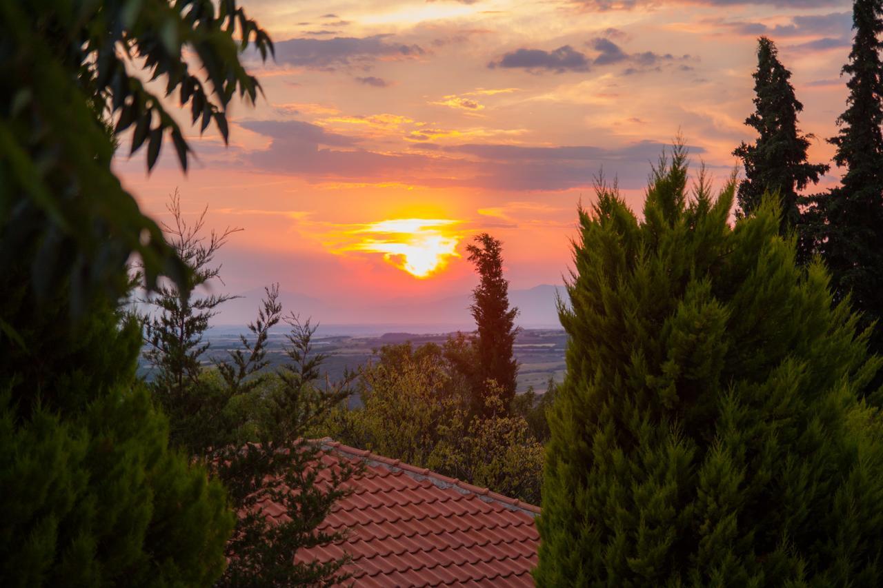Filosxenia Roxani Country House Ξενοδοχείο Μαρωνεία Εξωτερικό φωτογραφία